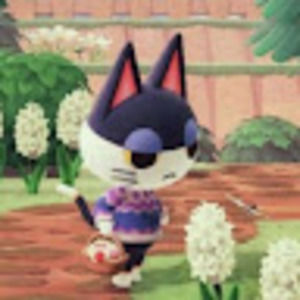 Meet your Posher, Caroline